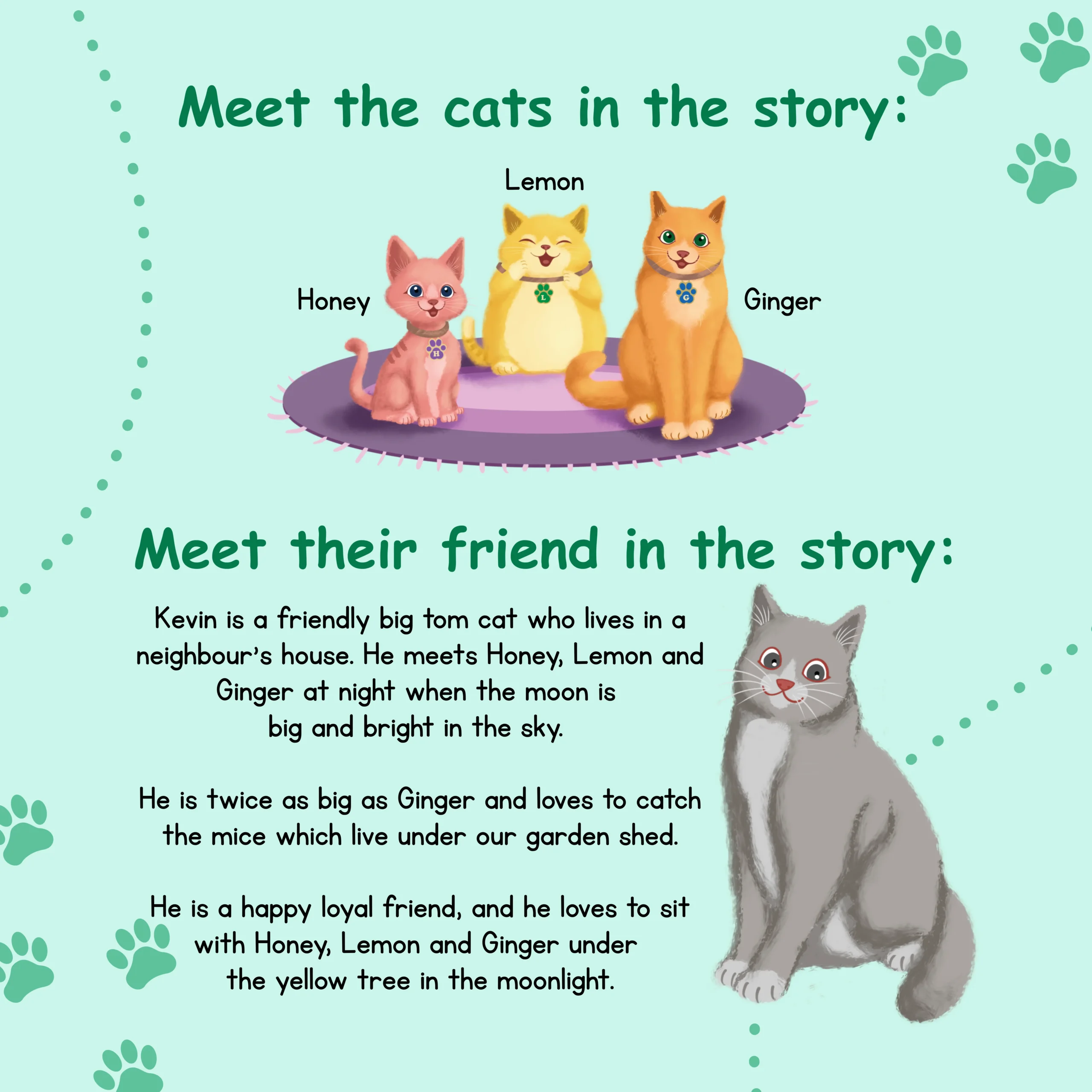 Meet the cats-Book-10
