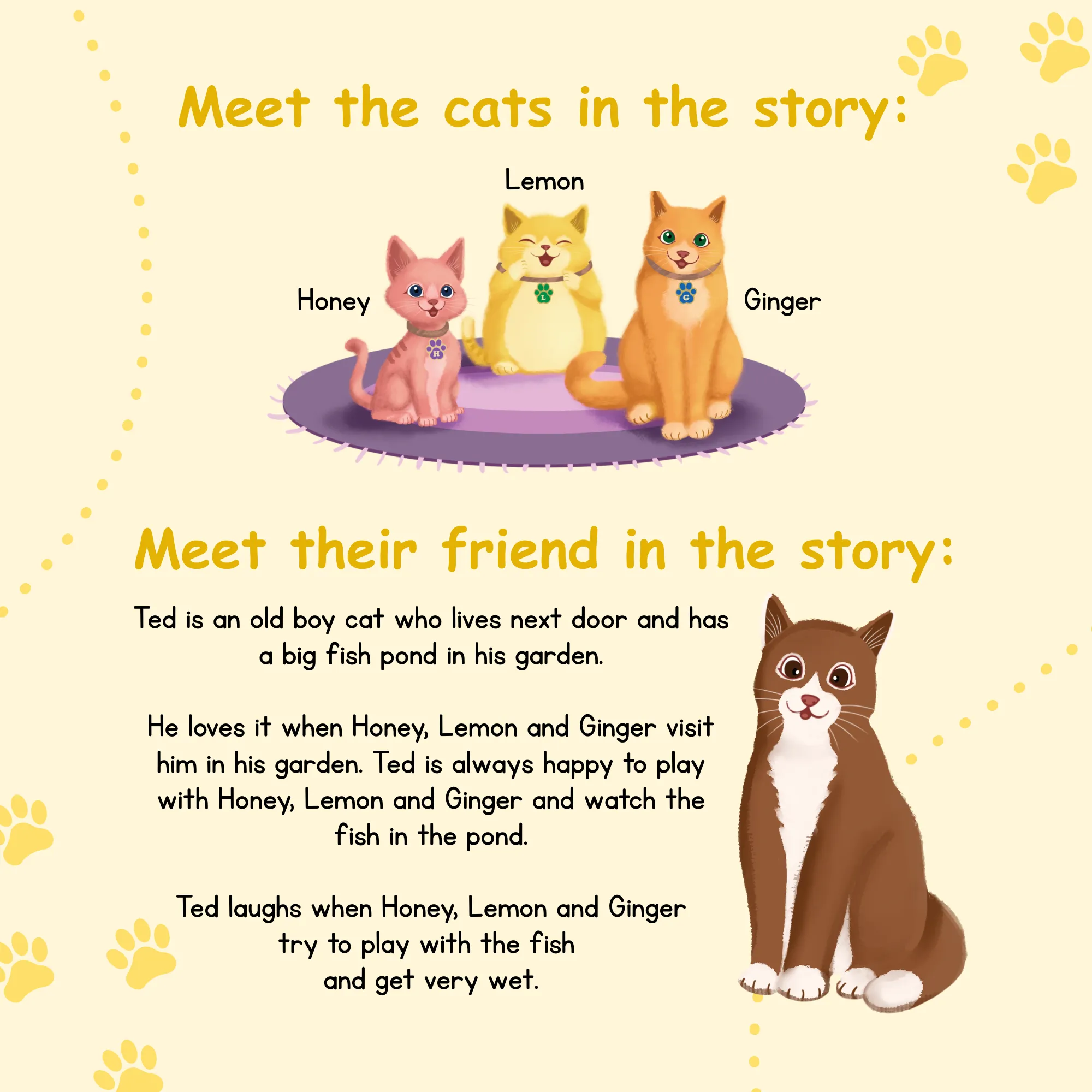 Meet the cats-Book-11