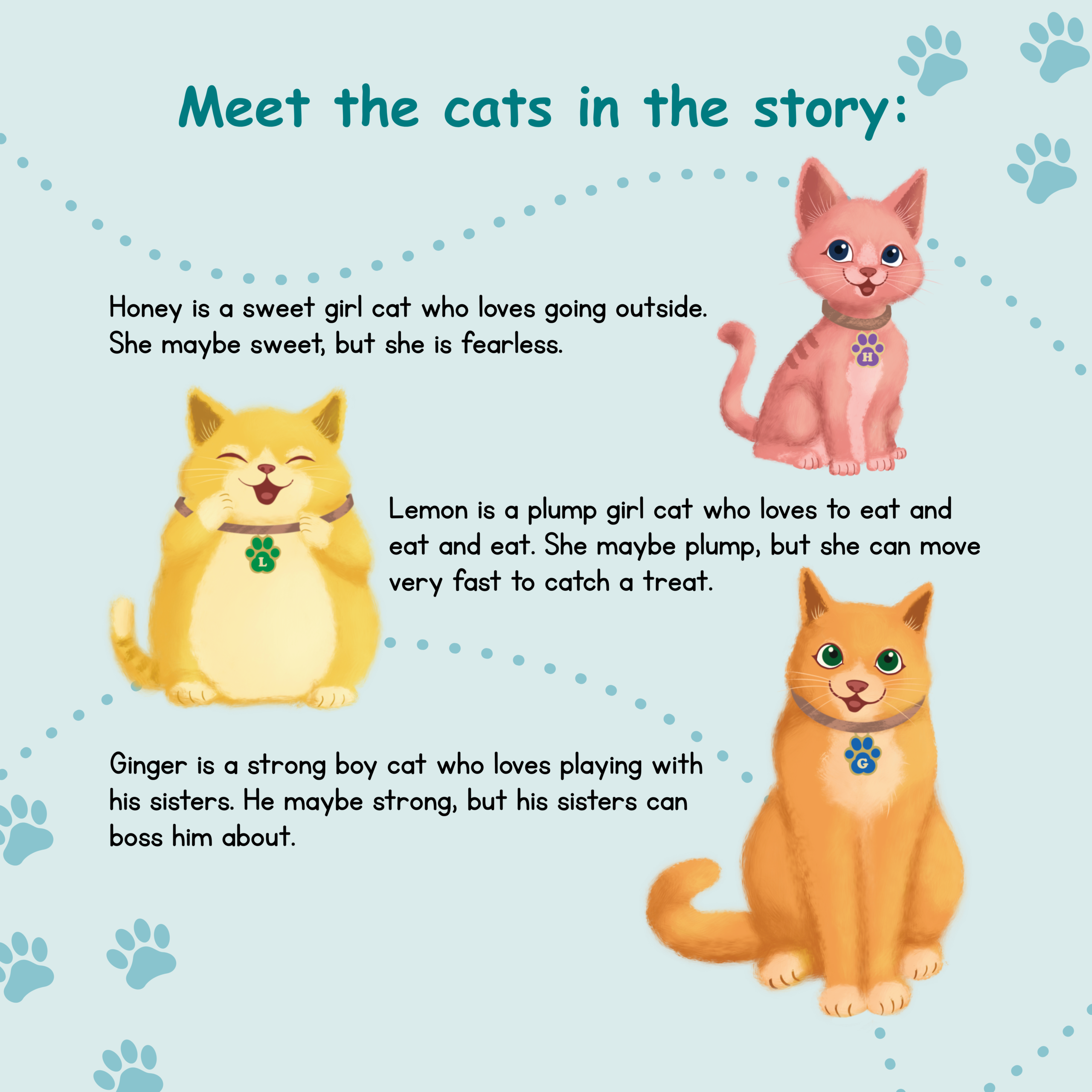 Meet the cats-Book-2