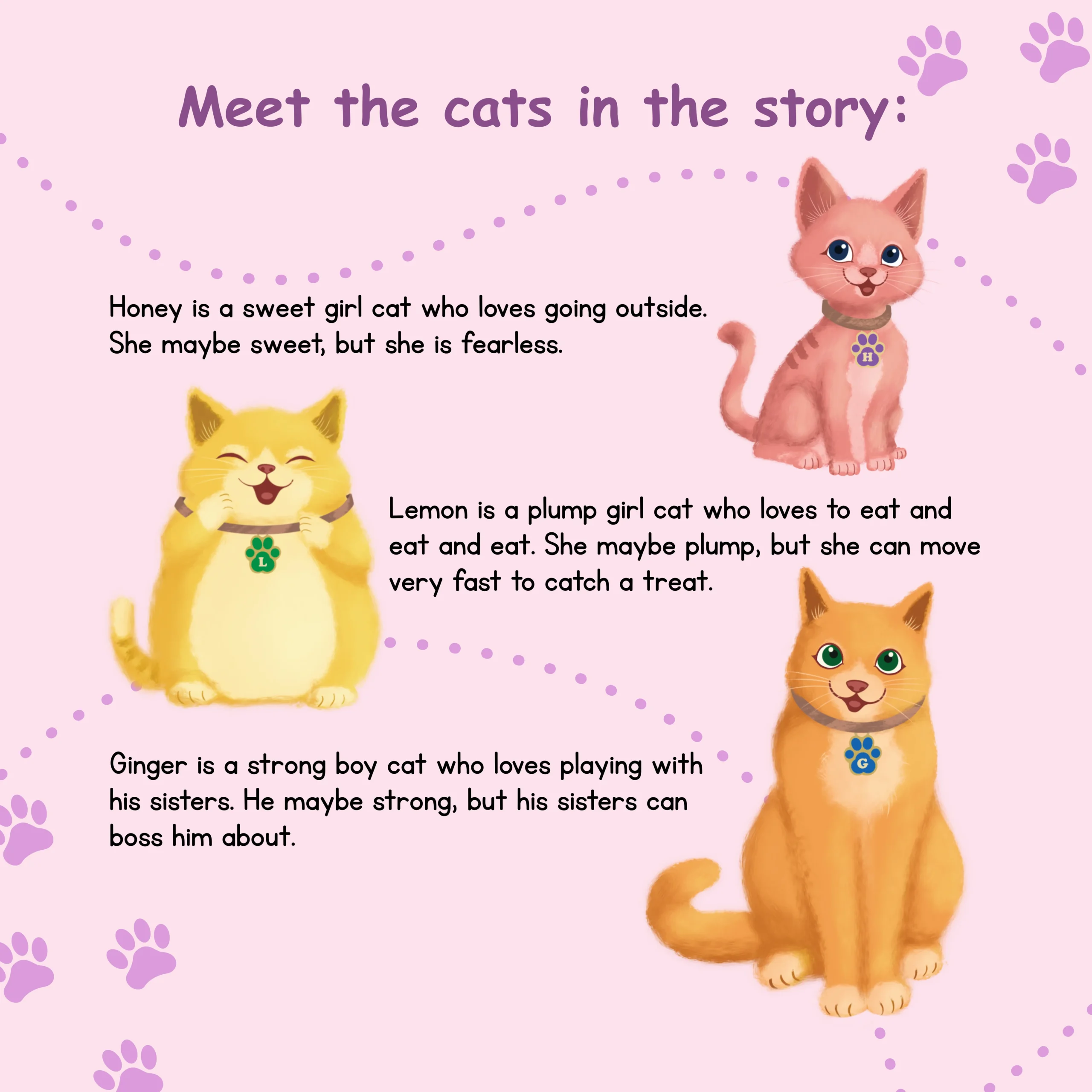 Meet the cats-Book-5
