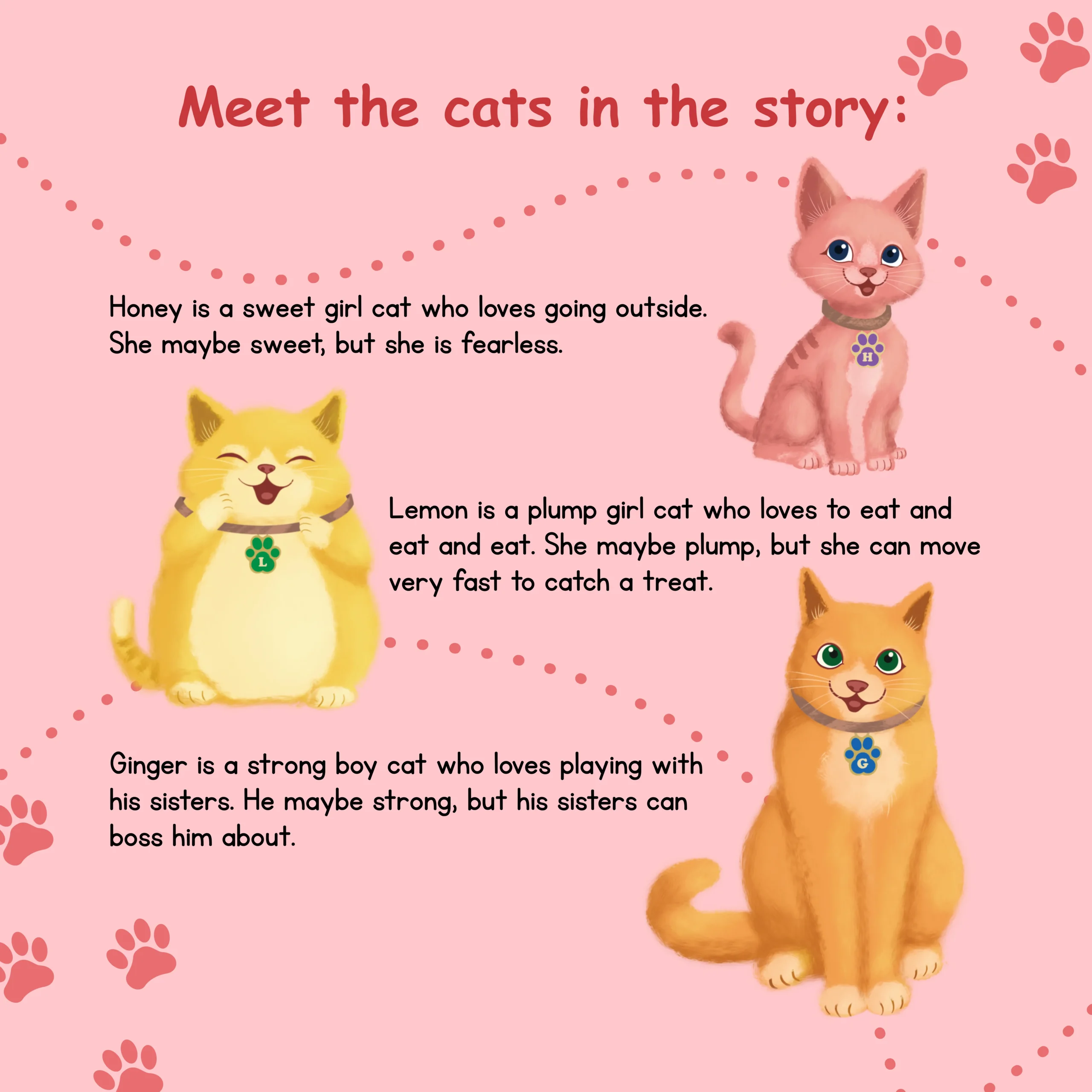 Meet the cats-Book-9